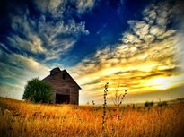 dawn on barn